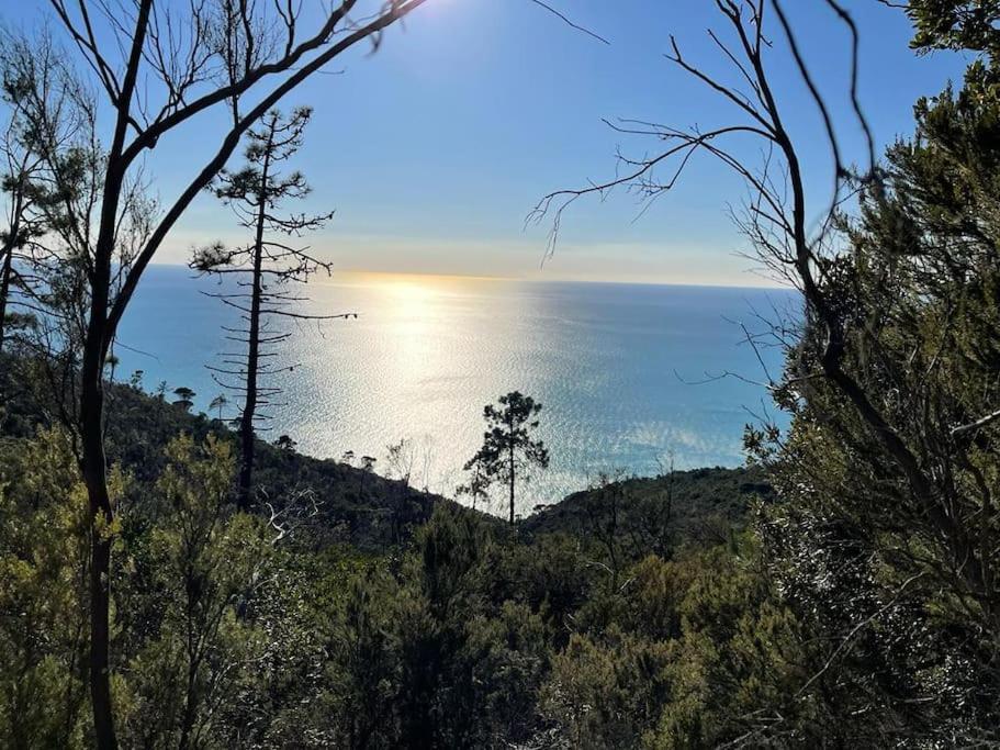 Beatrice Nel Centro Di Levanto Exteriör bild